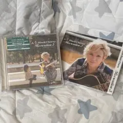 Item thumbnail for item 0f8b3f30-e90e-4c9e-949e-e695f9581466