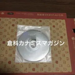 ミスマガジン2006グランプリ倉科カナ
