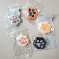 ぷにぷに　猫　肉球スクイーズ ５色セット