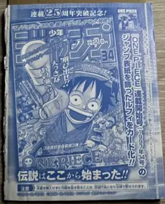 ベルセルク【未開封30パック】ルフィ：週刊少年ジャンプ付録P-033 ベルセルク様専用【未開封30パック】ルフィ：週刊少年ジャンプ付録P