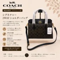 COACH シグネチャー スモールキャリーオール CH174のサムネイル
