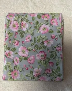 Item thumbnail for item fed45da8-7e7f-4b60-aebc-374afecafee0