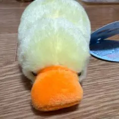 Item thumbnail for item 1dd00fd2-20bc-4fe2-8e69-46f2d0fb29bd