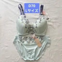 トリンプ アモスタイル 夢みるブラ DeepV D70 ブラジャーショーツセット