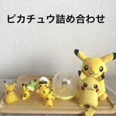 キャプテンピカチュウ＆ピカチュウ【まとめ売り】