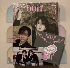 Stray Kids スキズ　DO IT アコーディオン　トレカ　チャンビン