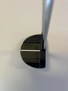 Item thumbnail for item 88e013d6-ce5d-4a79-a204-ab88a82227b9