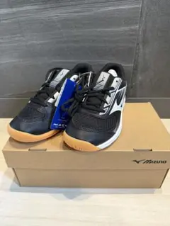 MIZUNO (ミズノ)サイクロンスピード 5 Jr. 21.0cm