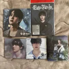 &TEAM EJ ウィジュ　ソロジャケット　CD 5枚　セット