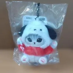 mofusand×サンリオキャラクターズ ミニマスコット　ポチャッコ