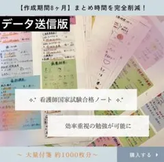 【セール価格】まとめ価格！看護師国家試験対策 暗記カード　解剖生理 付箋ノート 付箋ノート」で一発合格!? 要点を手書き、フリマで7000円も - 日本経済新聞