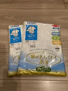 Item thumbnail for item 8a4c949b-de80-44c1-948e-edb538711881