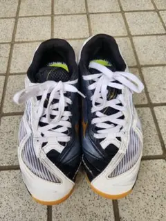 ミズノ　卓球シューズ　ウェーブメダル7 25センチ