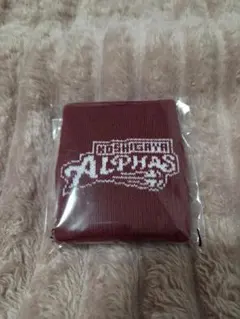 越谷アルファーズ & SPACIA X リストバンド