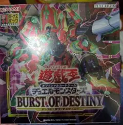 2026年最新】BURST OF DESTINYの人気アイテム - メルカリ