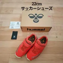 Item thumbnail for item e6c686dd-fa7b-4210-b246-c993a6a4dade