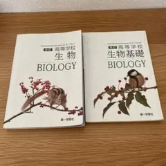 Item thumbnail for item acc528cd-bba4-417d-9071-dd2b2c356eac