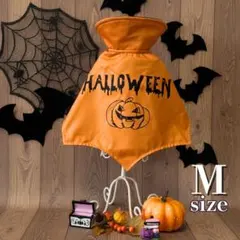 Item thumbnail for item df85b8a0-2109-494b-ad7f-209db022a03f