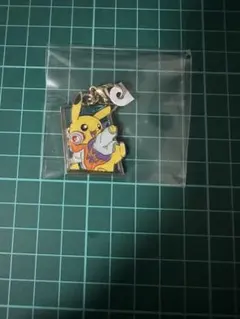 USJ ポケモン ハロウィン ピカチュウ チャーム