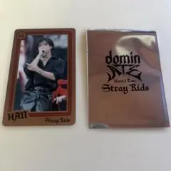 Stray Kids dominATE JAPAN ライブフォトカード　ハン
