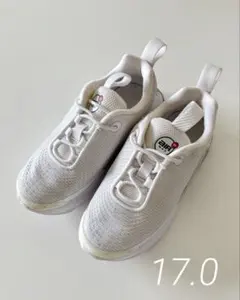 NIKE ナイキ エア マックス Dn 17.0cm(11c)