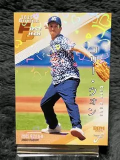 Item thumbnail for item 5c1e4225-f59e-473f-ba9d-be6bc6dcf050