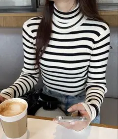 ストライプ タートルネックニット