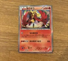 ポケモンカード ホウオウ：スペシャルセット PROMO XYシリーズ