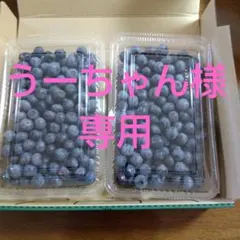 うーちゃん様専用朝摘み生ブルーベリー７００g強入り