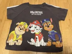 PAW PATROL Tシャツ グレー 100cm~