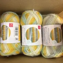 グラデーションウール G30(ウォーターリリー)3玉 ダイソー 秋冬毛糸