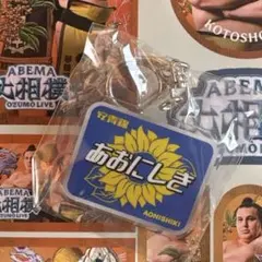 安青錦 鉄道ヘッドマーク風キーホルダー
