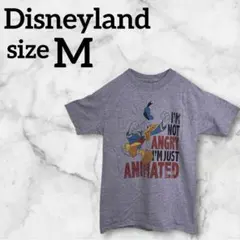 Disneyland ディズニーランド【M】Tシャツ 半袖 グレー 海外古着