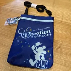 東京ディズニーリゾート バケーションパッケージ　専用ポーチ