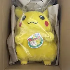 ポケットモンスター ポケモン30周年記念 おかえり!ピカチュウ1/1