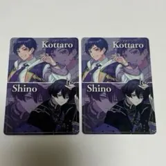 ボイシングチップス2 カード　こったろさん/しのさん