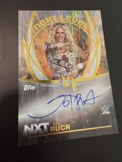 女子プロレス WWE イヨスカイ IYO SKY 直筆サイン入りフォトフレーム