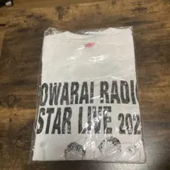 Item thumbnail for item 796af5bf-084a-4a71-ac25-76d715015176