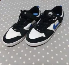 Nike SB ALLEYOOP CJ0882-104　27.5cm