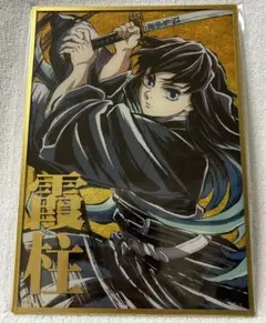 【7833】鬼滅の刃 WEBSHOPくじ B賞 デザインアクリル色紙 時透無一郎