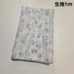 生地1m　KOKKA コッカ　ラッコ