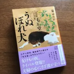 「うぬぼれ犬お江戸けもの医毛玉堂」