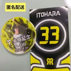 来場記念缶バッジ　9月20日　甲子園球場　近本光司