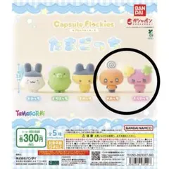 【2点セット】カプセルフロッキーズ　たまごっち　めめっち　ふらわっち