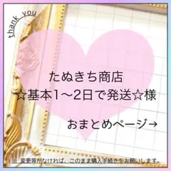 たぬきち商店☆基本1〜2日で発送☆様 リクエスト 3点 まとめ商品