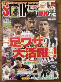 ストライカーDX 2014年 11-12月号