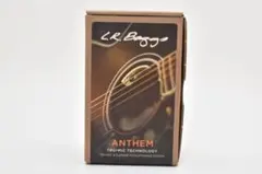 2026年最新】L.R. Baggs Anthemの人気アイテム - メルカリ