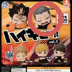 ハイキュー!! おねむたん 田中龍之介
