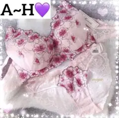 再入荷❣️プルメリア♥️全2色✨ブラジャー&ショーツセット✨ワコール系トリンプ系