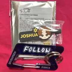 SEVENTEEN セブチfollow againジョシュアカラビナヘアクリップ